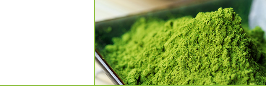 Matcha