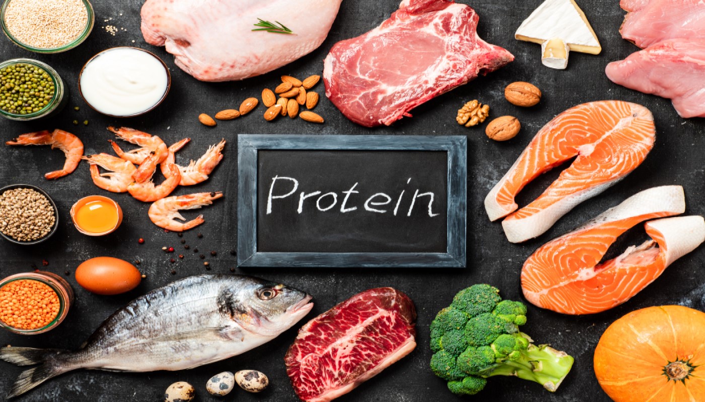 Protein i mad