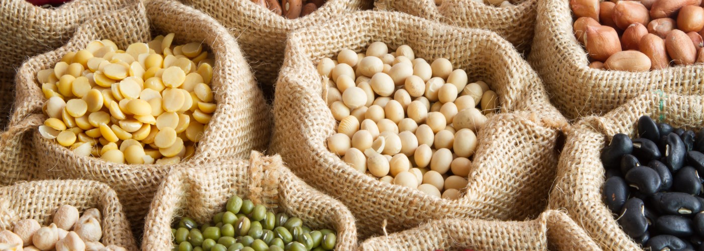 Vegansk protein