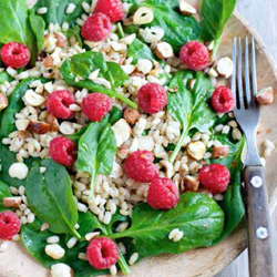 Nordisk salat