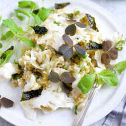 Quinoa