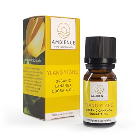 Ambience Ylang ylang olie, øko