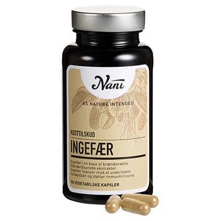 Ingefær
