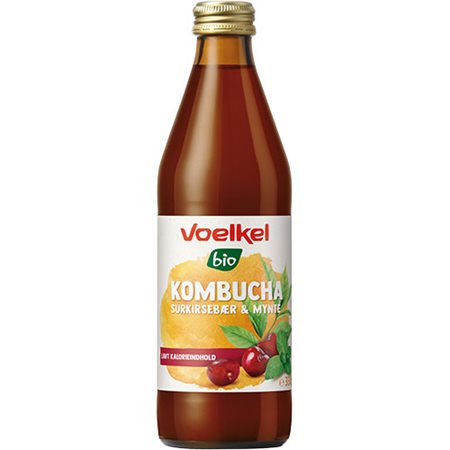 Kombucha Surkirsebær-Mynte Ø