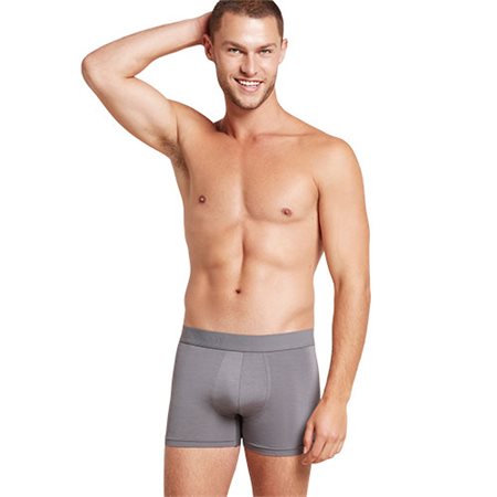 Men´s  Everyday Boxers Ash str. XL